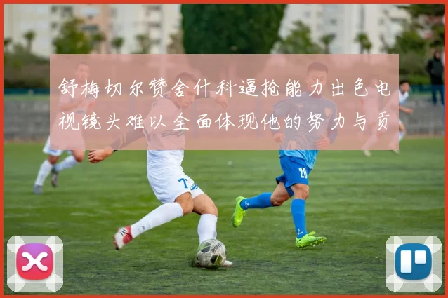 舒梅切尔赞舍什科逼抢能力出色电视镜头难以全面体现他的努力与贡献
